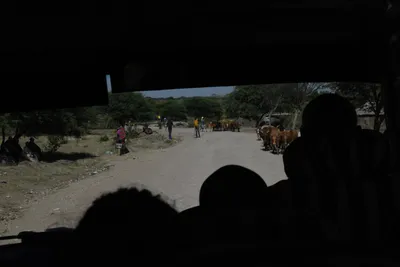 DSC_2731 (Large).JPG